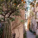 Art Loft Sud Vue * Hyeres