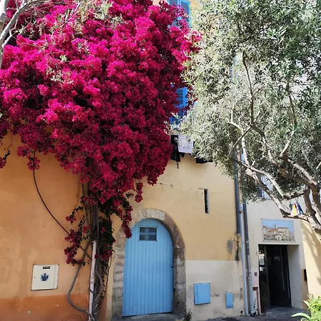 Art Loft Sud Vue * Hyères