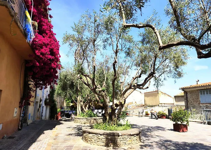 Apartment Art Loft Sud Vue Hyeres