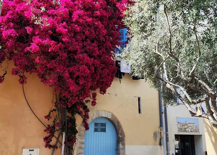 Art Loft Sud Vue * Hyeres