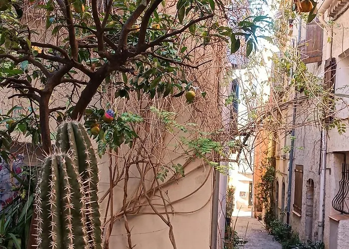 Art Loft Sud Vue * Hyeres